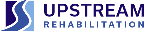 Physical Therapist logo